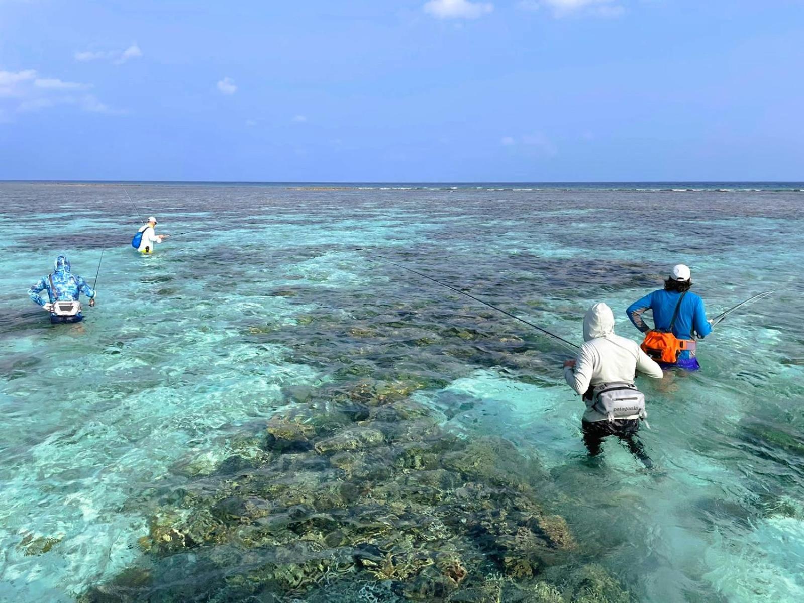 The Fulhadhoo Beach Cottage المظهر الخارجي الصورة