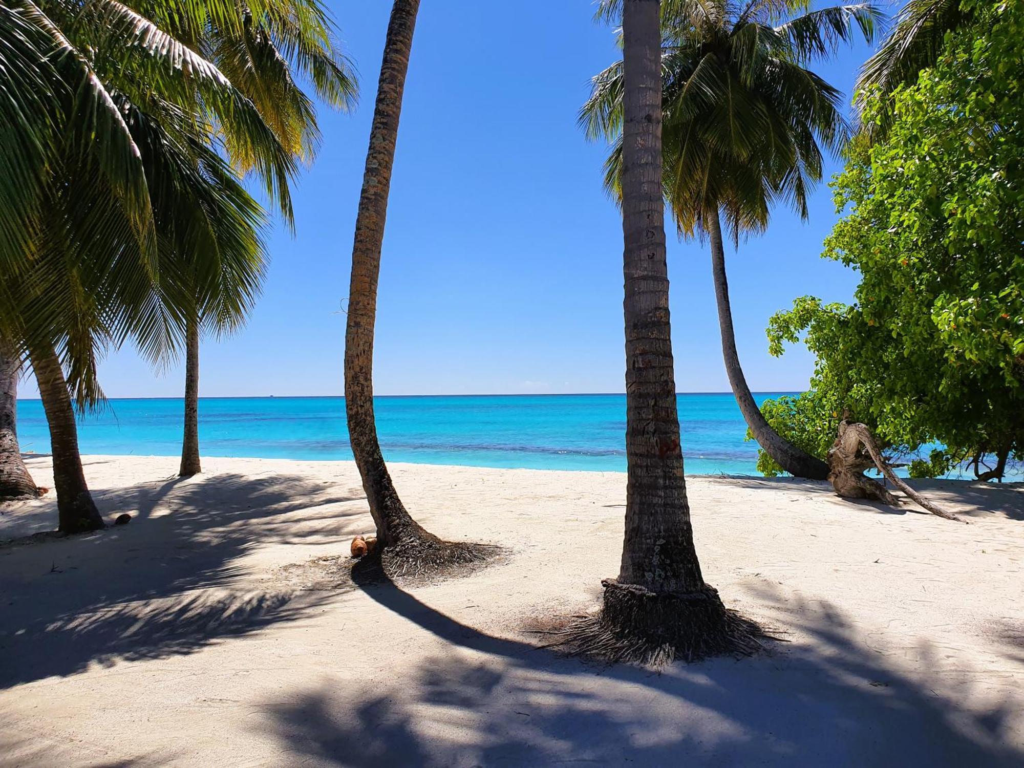 The Fulhadhoo Beach Cottage المظهر الخارجي الصورة